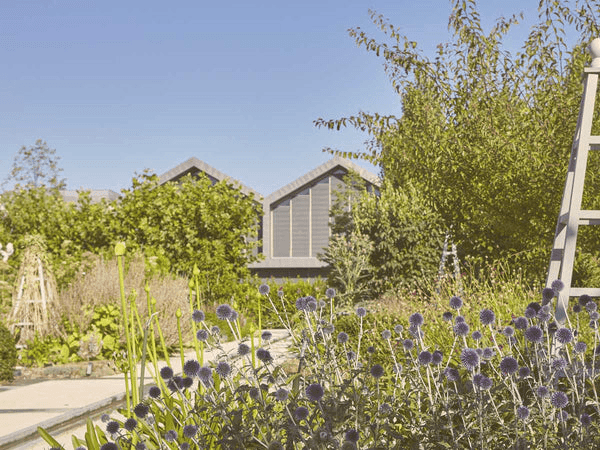 Garden with purple flowers, lush green bushes, and two small buildings under a clear blue sky.