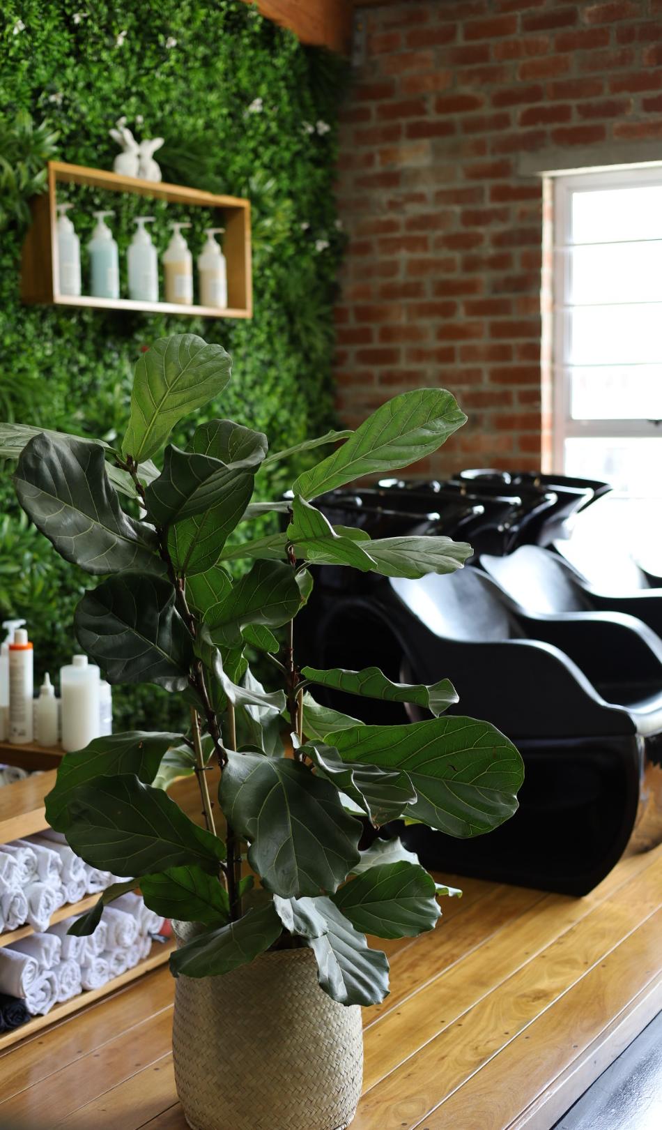 Inside The Keratin Lab salon in Maitland